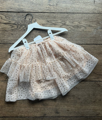 Zara Tulle Skirt