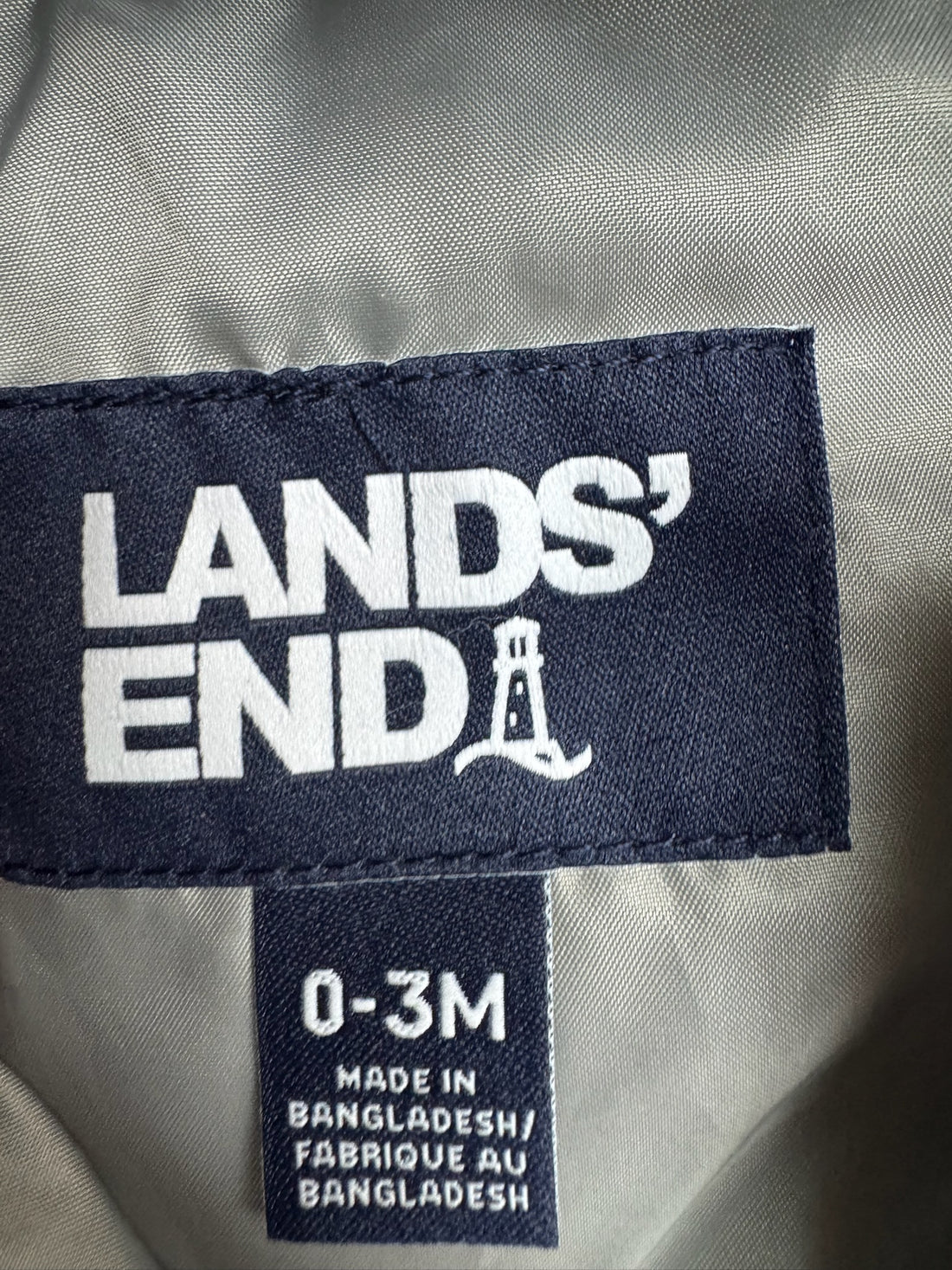 Lands End Snow Bunting