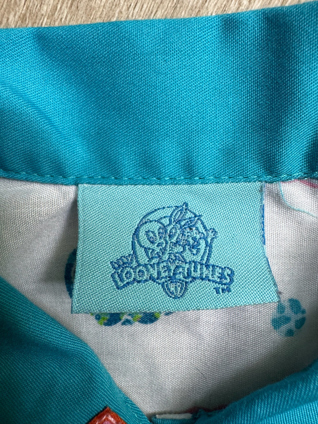 Vintage Looney Tunes Dress