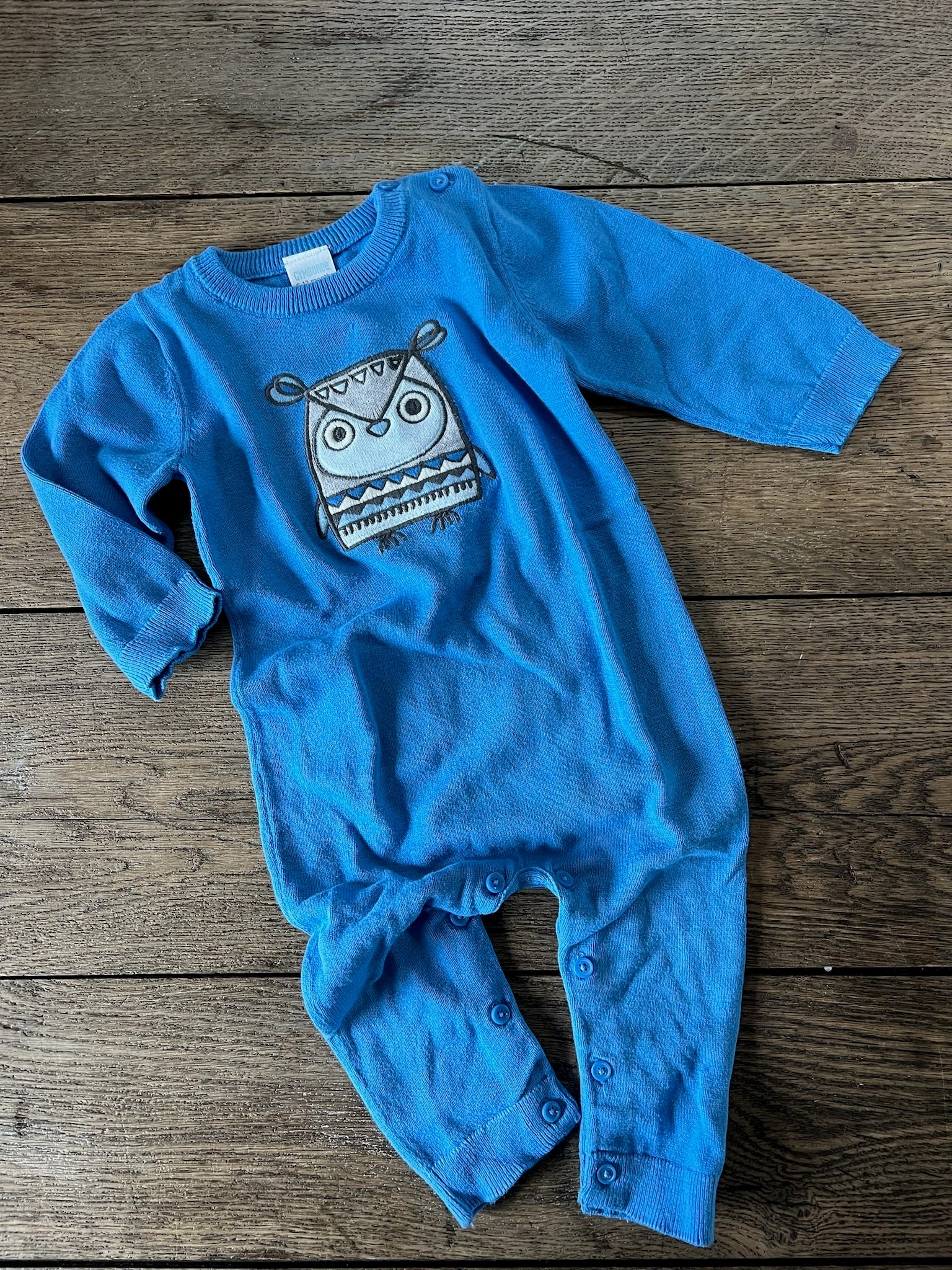 Gymboree Owl Jumper