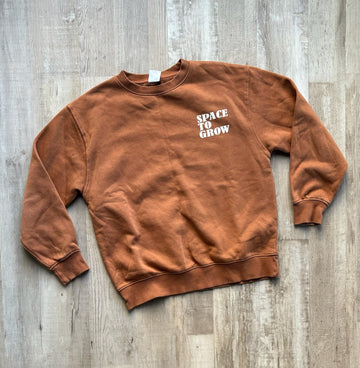 Zara Space to Grow Pullover