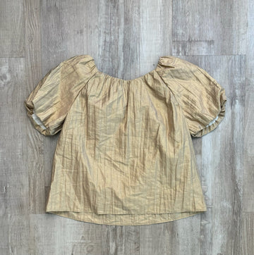 Zara Gold Shimmer Top