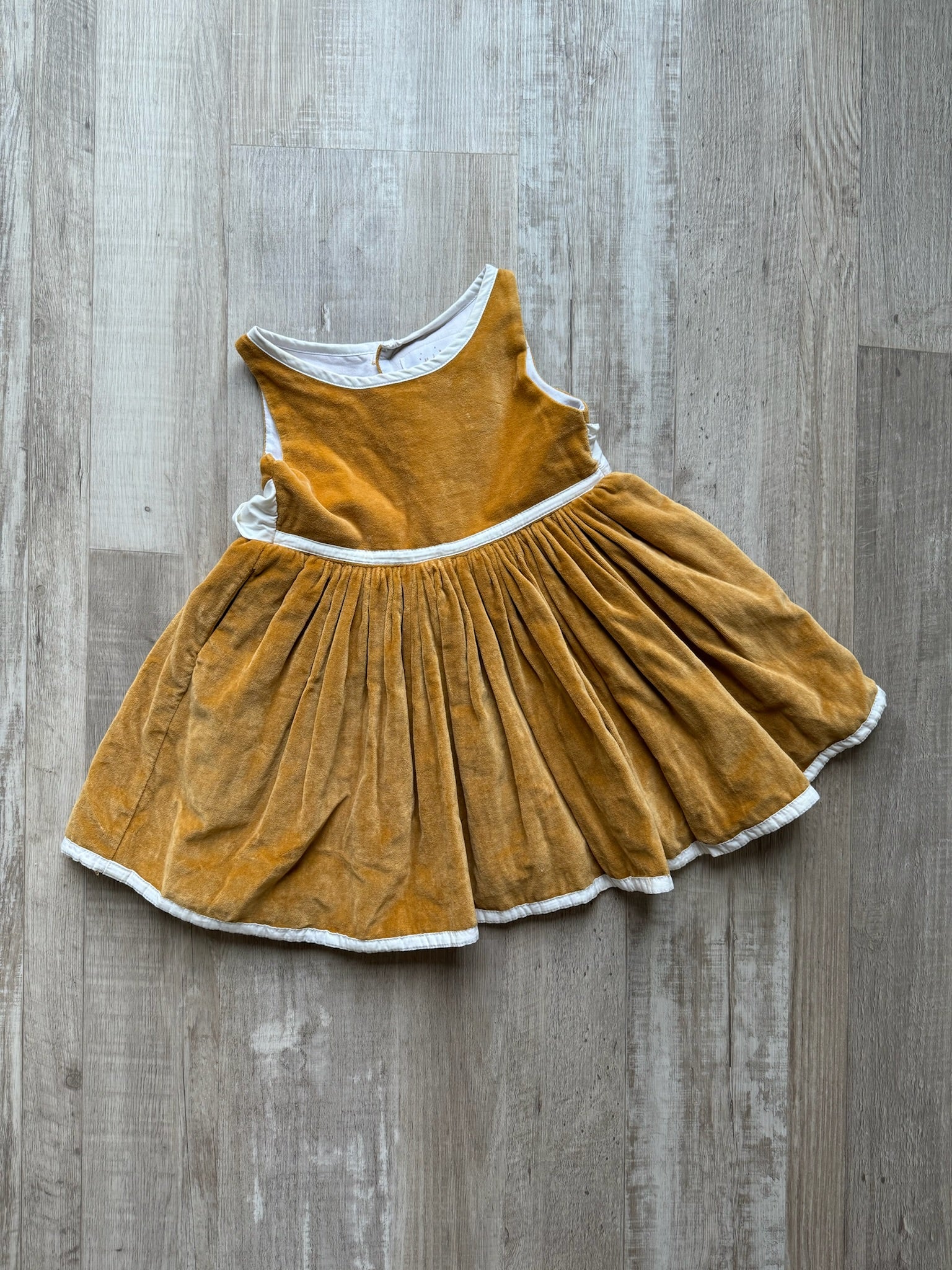 Well Dressed Wolf Golden Velour Dress