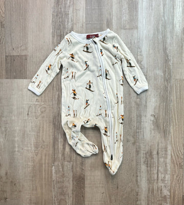 Millbarn Ski Sleeper