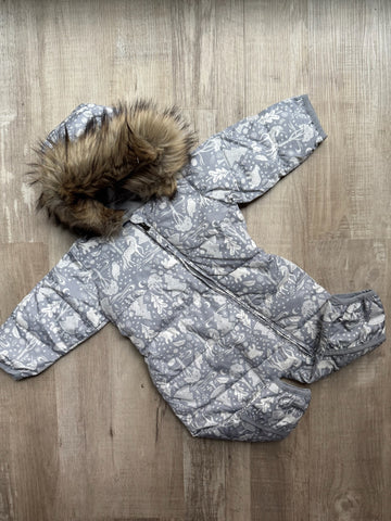 Lands End Snow Bunting