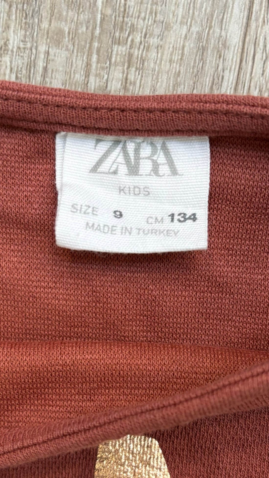 Zara “Cool Mood” Dress