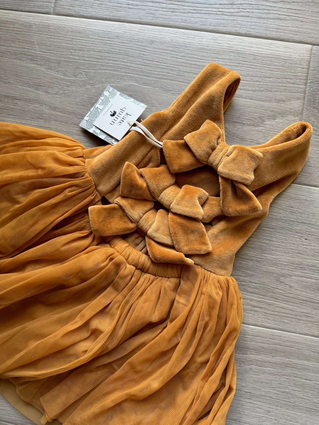Kate Quinn Velour Tulle Dress - NEW